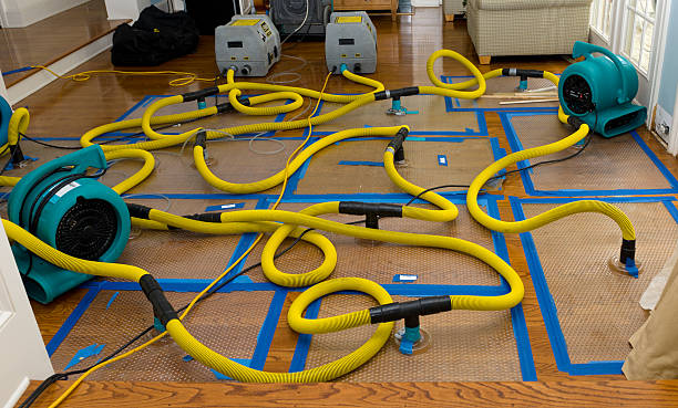 Professional Crawl Space Water Removal technician working in Amboy, CA